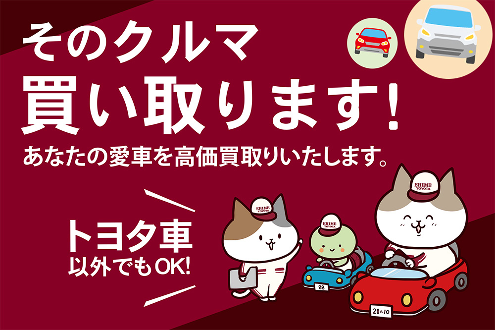 愛媛トヨタのお店は魅力でいっぱい!キャンペーン 愛媛トヨタ自動車