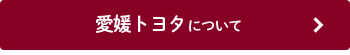 愛媛トヨタ店舗情報