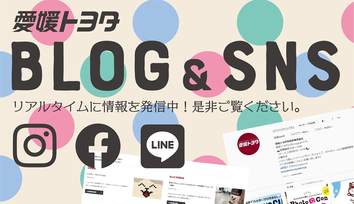 ブログSNSバナー01