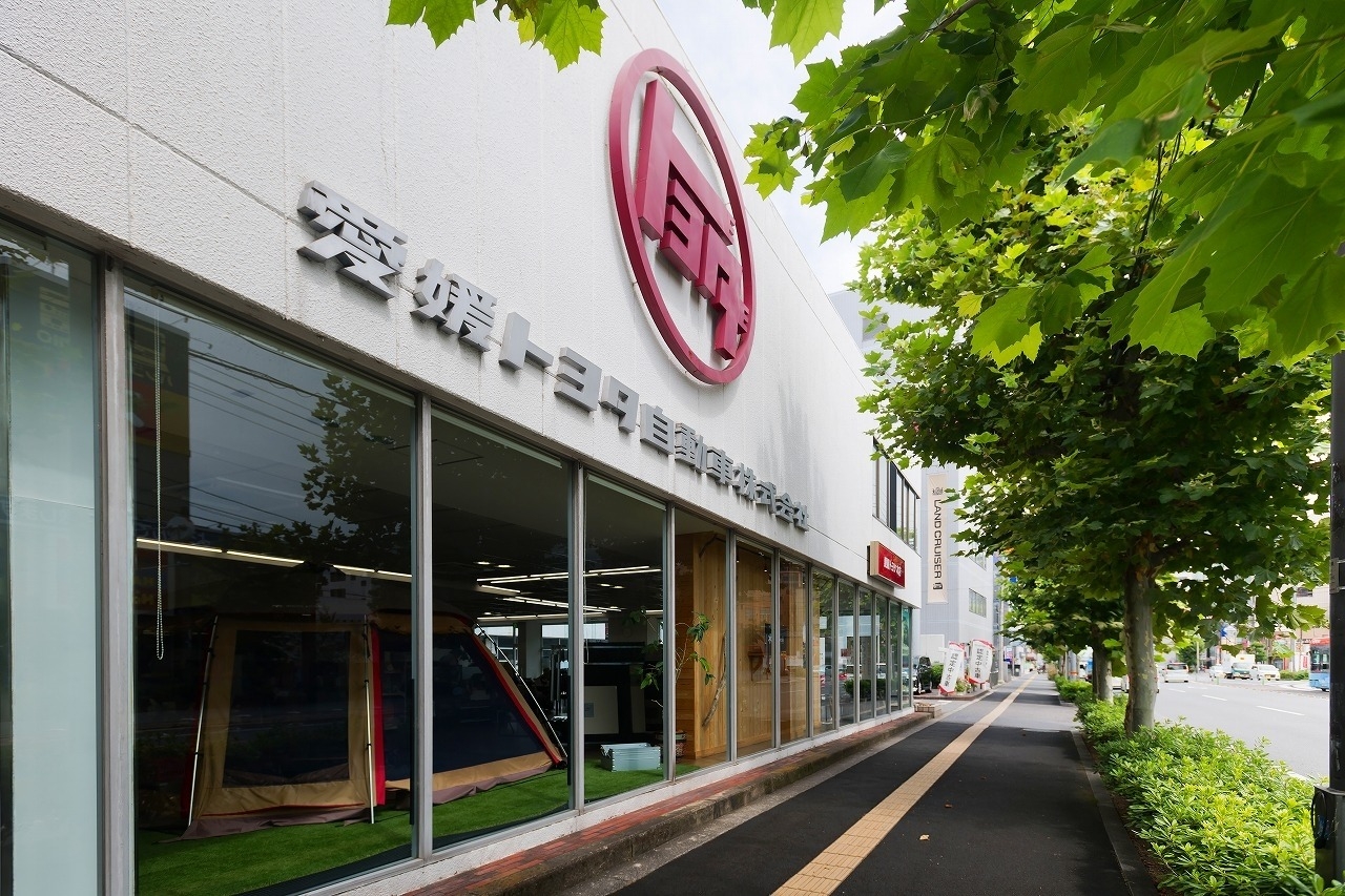 本店_393