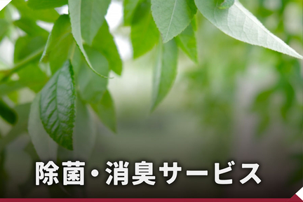 メンテナンス_TOP_除菌消臭サービス