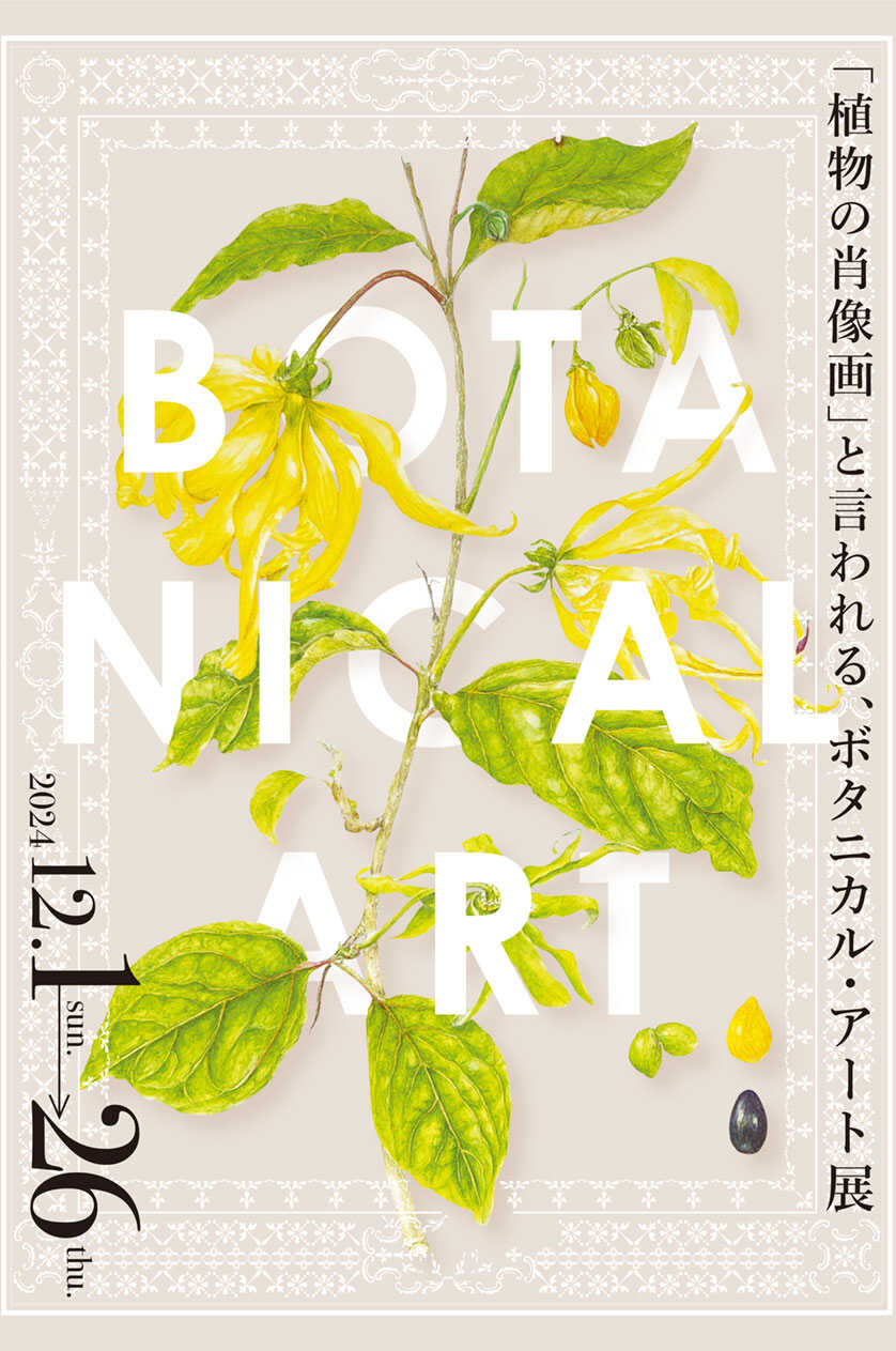 松山・久米窪田店「植物の肖像画と言われるボタニカル・アート展」2024