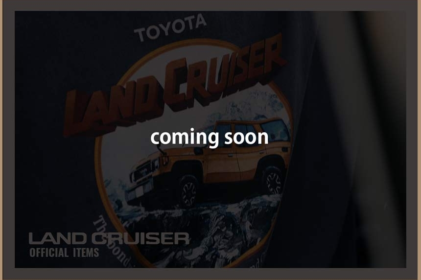 ランドクルーザーコレクションwebサイト2025夏202500705ピグメントダイヴィンテージ風