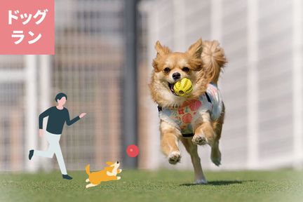 lof2025参加者ページ用_ドッグラン