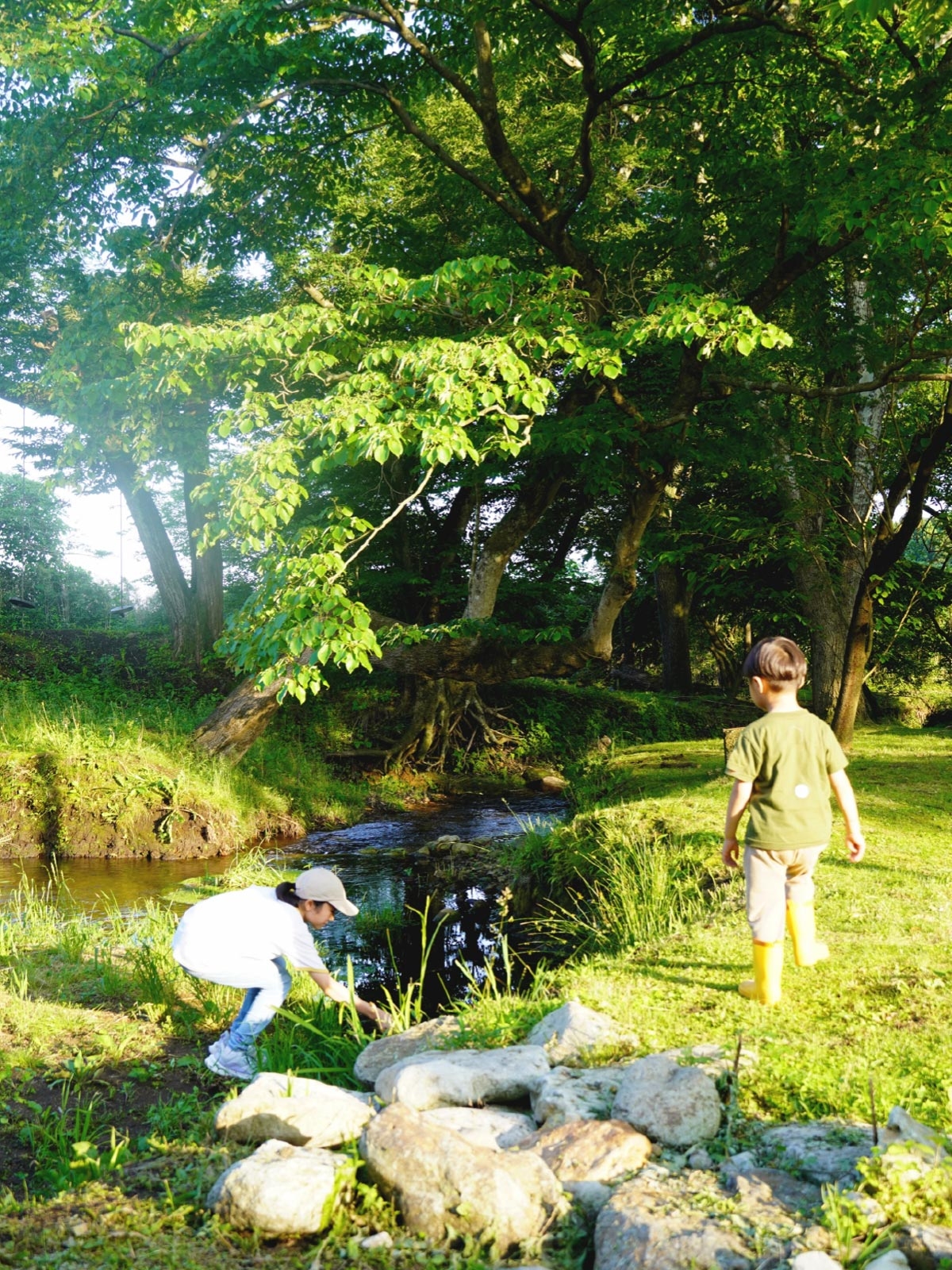 自然と暮らす（アースホーム）